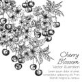 Vector illustration of a branch of blossoming cherry and berries Royalty Free Stock Photo